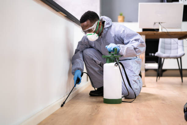 Best Fumigation Services  in Port St John, FL